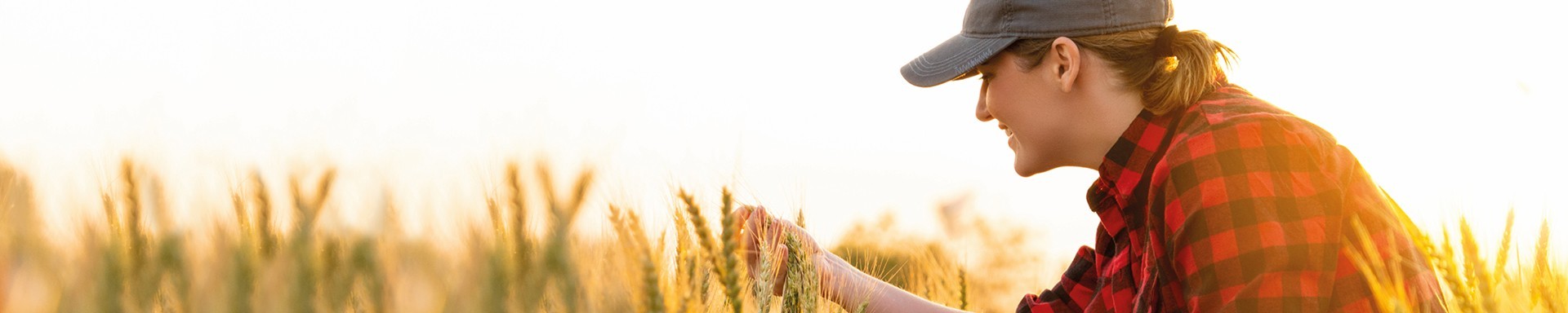 AGT Food Bank Crop Exchange Program Header