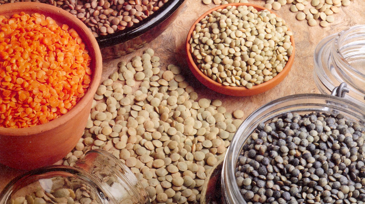 About Pulses